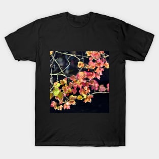 Autumnal Poetry Sound T-Shirt